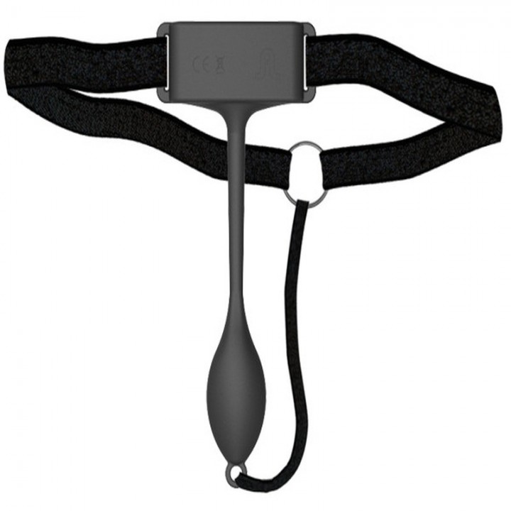VIBRADOR PAN-T VIBE COM COMANDO ADRIEN LASTIC