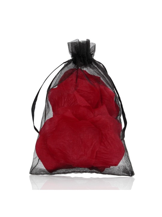 PÉTALAS DE ROSA VERMELHAS LE DÉSIR