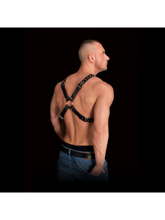 ARNÊS CORPORAL ADONIS OUCH!