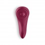 PANTY VIBRATOR COM APP SEXY SECRET SATISFYER